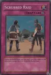 Product image for Scrubbed Raid