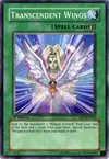 Product image for Transcendent Wings