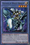 Product image for Paladin of White Dragon