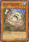Product image for Grass Phantom