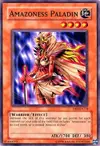 Product image for Amazoness Paladin