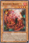 Product image for Burning Beast