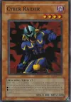 Product image for Cyber Raider