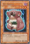Product image for Des Koala