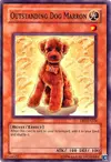 Product image for Outstanding Dog Marron