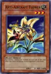 Product image for Anti-Aircraft Flower