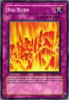 Product image for Big Burn