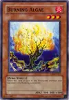 Product image for Burning Algae