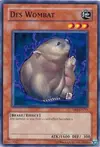 Product image for Des Wombat
