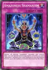 Product image for Amazoness Shamanism