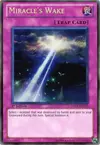 Product image for Miracle's Wake