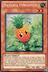 Product image for Ananas Naturia