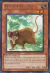 Product image for Playful Possum