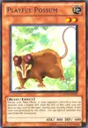 Product image for Opossum Taquin
