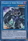 Product image for Paladin of Dark Dragon