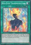 Product image for Red-Eyes Transmigration