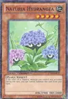 Product image for Naturia Hydrangea