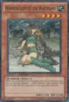 Product image for Warrior Lady of the Wasteland