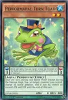 Product image for Crapaud du Tour Potartiste