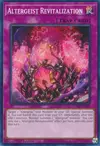 Product image for Altergeist Revitalization