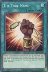 Product image for The True Name