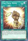 Product image for The True Name