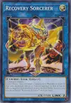 Product image for Recovery Sorcerer