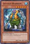 Product image for Salvage Warrior