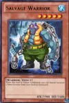 Product image for Salvage Warrior