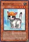 Product image for Rescue Cat