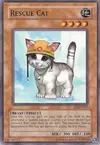 Product image for Rescue Cat