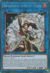 Product image for Brotherhood of the Fire Fist - Peacock