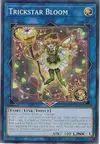 Product image for Trickstar Bloom