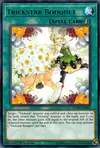 Product image for Bouquet Farstar