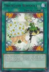 Product image for Trickstar Bouquet
