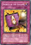 Product image for Secrets of the Gallant
