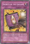 Product image for Secrets of the Gallant