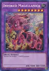 Product image for Invoked Magellanica