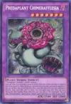 Product image for Chimèrafflesia Prédaplante