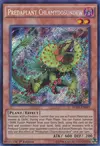 Product image for Predaplant Chlamydosundew