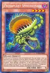 Product image for Spinodionaea Prédaplante