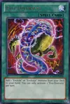 Product image for Evo-Diversity
