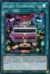 Product image for Secret Password