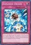 Product image for Explosive Urchin