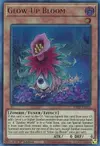 Product image for Glow-Up Bloom