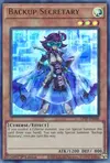 Product image for Backup Secretary