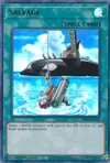 Product image for Salvage