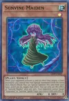 Product image for Sunvine Maiden
