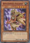 Product image for Amazoness Paladin