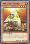 Product image for Pyramid Turtle